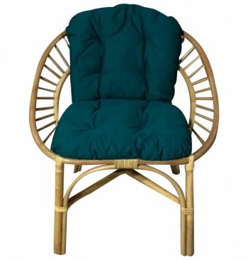 Кресло RJG-Princess (Ротанг №4, ткань JPN DRILL 034) в Покровске - mebel154.com