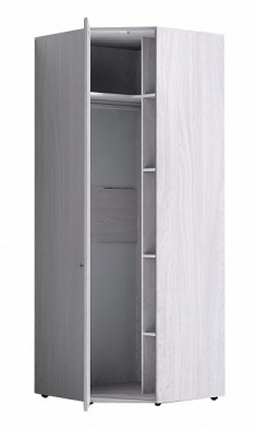 Шкаф для одежды угловой 56-2 Paola в Покровске - mebel154.com